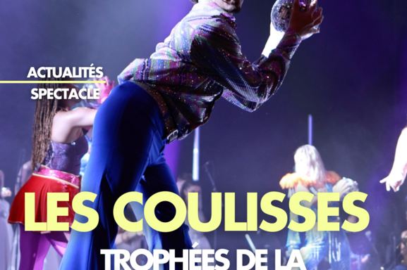 Les lauréats de cette 7e édition des Trophées de la Comédie Musicale :