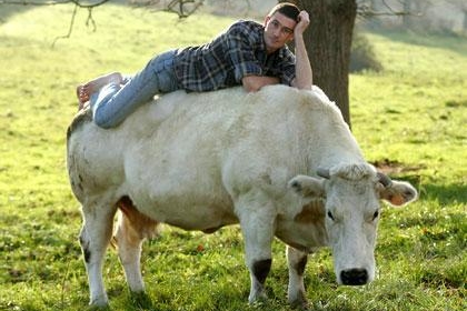 L'amour est dans le pré revient sur M6!