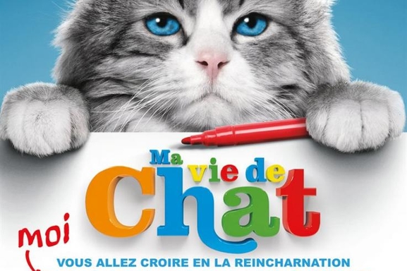 Ma vie de Chat, une nouvelle comédie fantastique au poil, Casting.fr vous offre des places