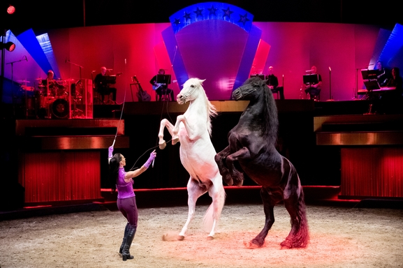 “Les Folies Gruss”, un spectacle équestre fabuleux !