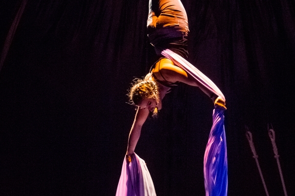 Envie de vous former à l’univers des arts du cirque et de la danse? On vous offre une formation chez "Le Tour du monde en galipette"