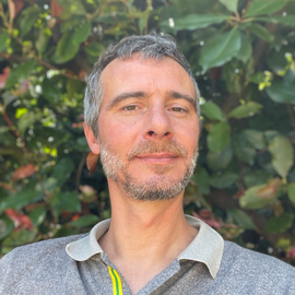 Tomy44
