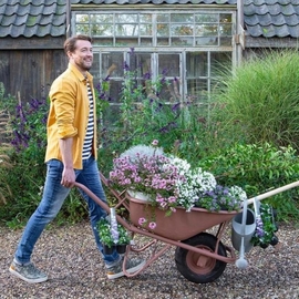 gouka
