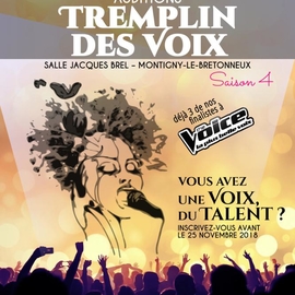 lavoixenscene