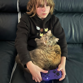 Willow445