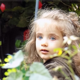 aliya2014