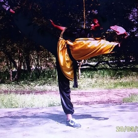 Wushu76