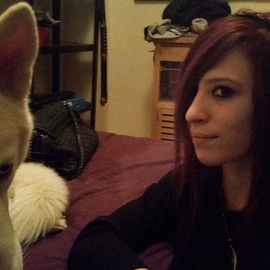 Obsy