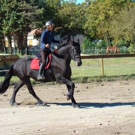 Yanenga