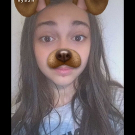 Jesta