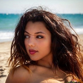 Anissafoulon