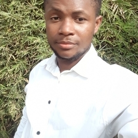 vinleBG005