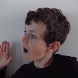 julien2005