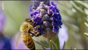 Voix off documentaire