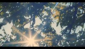 Affectif anonyme de Angéla Nichon