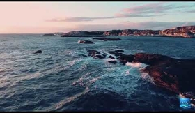 Documentaire science de la vie | Origines du vivant - Voix off féminine Flo Rilège