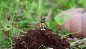 Video voix off pour marque Terre Terre