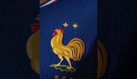 Fiers de faire partie de cette aventure historique avec l'Équipe de France de Football ??