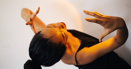 Casting danseuse et danseur pour show dans restaurant d'altitude