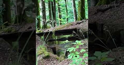 Un trésor en plein pays de Bitche