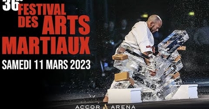 36e Festival des Arts Martiaux (live)